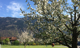 Die Natur erleben