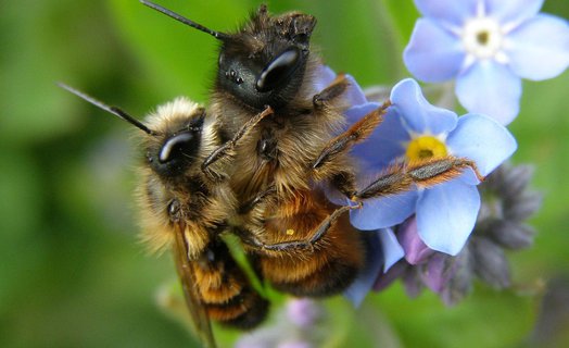 BeeAware!
