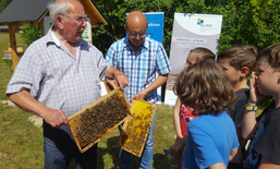 Exemple de bonne pratique : mise en œuvre d’un projet KLAR! sur le thème de la protection des abeilles
