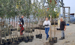 “Bassa Carinzia in fiore” – un progetto di conservazione della natura per la salvaguardia dei frutteti estensivi