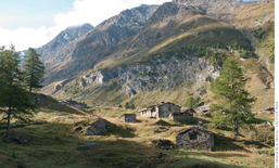 Benvenuti, nuovi abitanti delle Alpi!