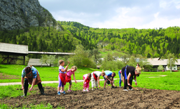 L’autosuffisance et la coopération sont les clés de la survie des petites communes – nouvelles de Slovénie
