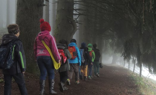 Naturvielfalt und Besucherlenkung im alpinen Raum