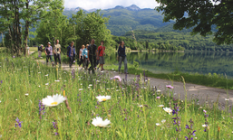 Territoire pilote « speciAlps »: Alpes slovène/SL