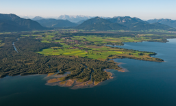 Neue Formate in Zeiten von Corona – Wie die COVID-19 Krise dem Alpenraum neue Möglichkeiten aufzeigt