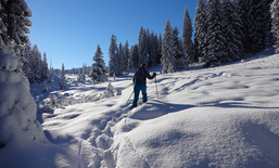 Schnee von morgen