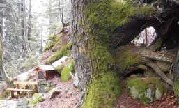 Rivivere la montagna
