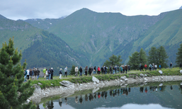 Relazione trimestrale I/2020: Alpi Resilienti? Come l’emergenza COVID-19 colpisce la regione alpina