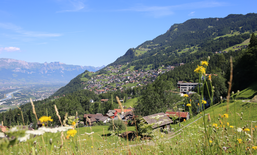 Un potentiel jeune pour les Alpes - La conférence thématique 2019 à Triesenberg/FL.  