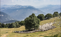 La Provence rejoint le Réseau