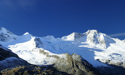 Rétrospective 2016