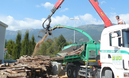 Produzione Locale di Biomassa legnosa da Energia