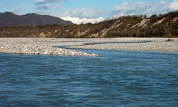Il Tagliamento: Un Fiume Alpino unico in Europa