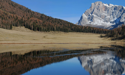 Ungeahnte Schätze