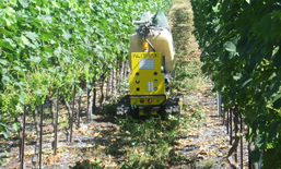 Wein und Klimaschutz