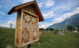 Création d’un parc au cœur d’une zone industrielle