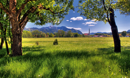 Zoom sur les services sociaux: Übersee/D