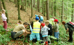 Nos forêts, nos enfants