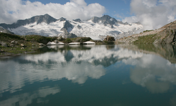 Manifestation: Protéger le climat, maintenant ! 