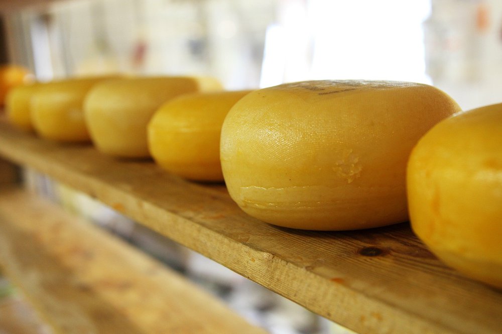 cheese-gfdb111545_1920
