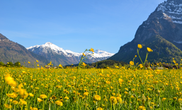Una primavera ricca di attività